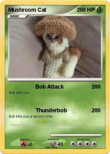Pokemon Mushroom Cat