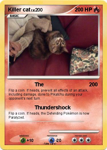 Pokemon Killer cat