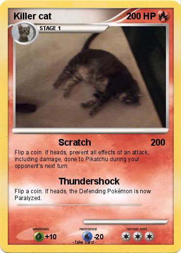 Pokemon Killer cat