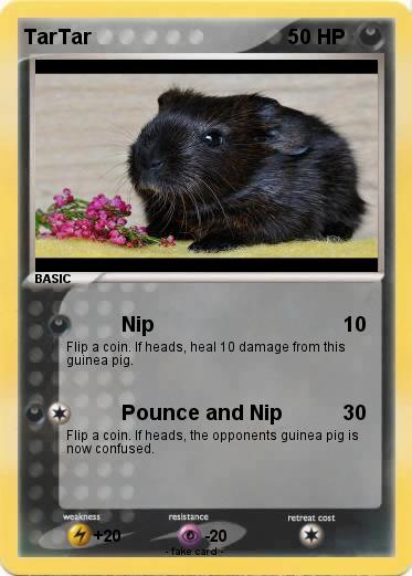 Pokemon TarTar