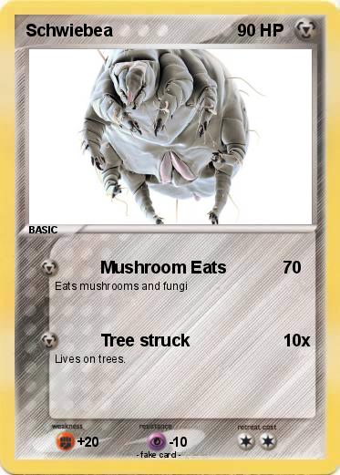 Pokemon Schwiebea