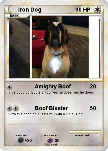 Pokemon Iron Dog