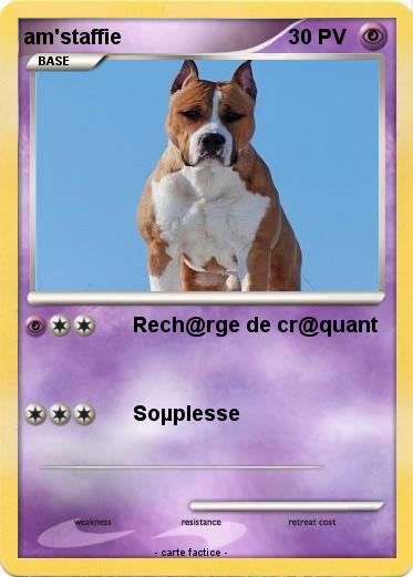 Pokemon am'staffie