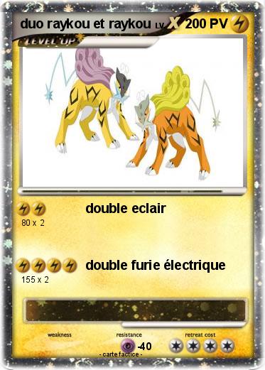 Pokemon duo raykou et raykou