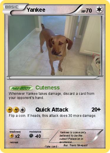 Pokemon Yankee