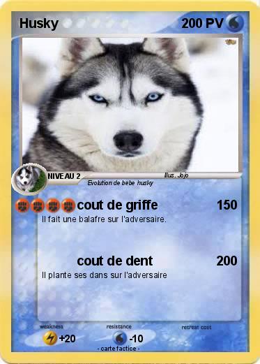 Pokemon Husky