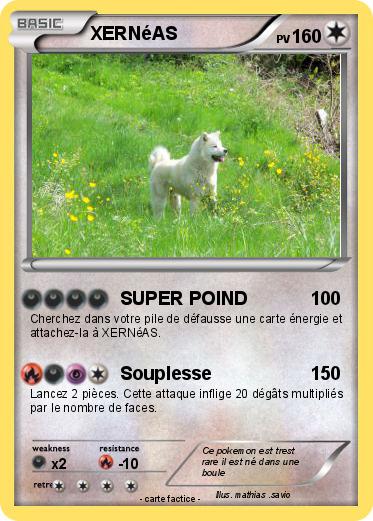 Pokemon XERNéAS