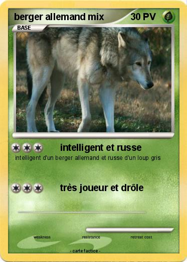 Pokemon berger allemand mix