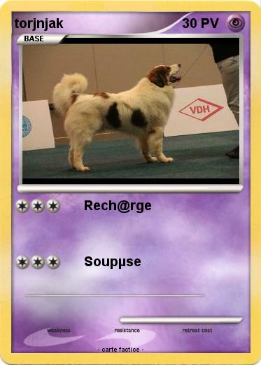 Pokemon torjnjak