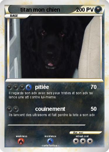 Pokemon titan mon chien