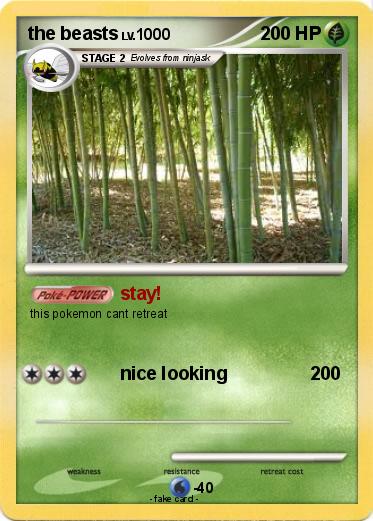 Pokemon the beasts