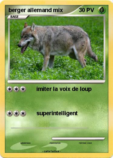 Pokemon berger allemand mix
