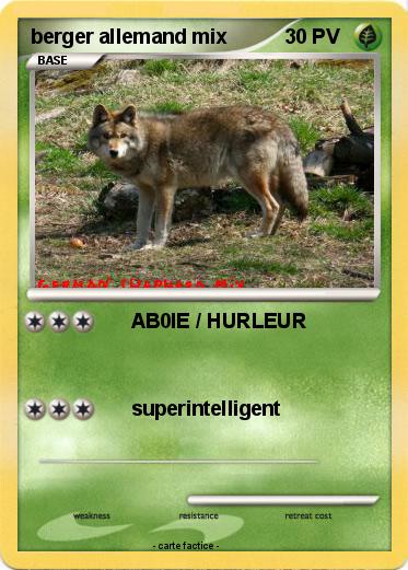 Pokemon berger allemand mix