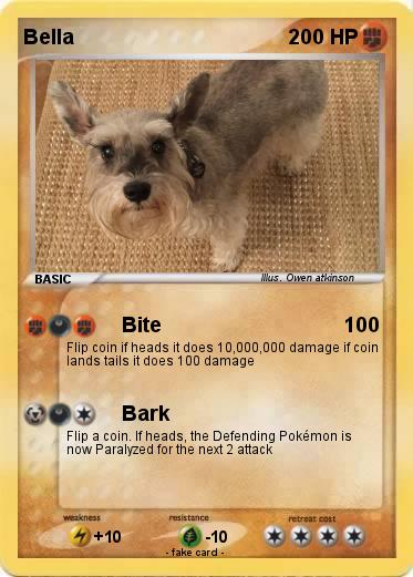 Pokemon Bella