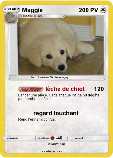 Pokemon Maggie