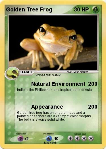 Pokemon Golden Tree Frog