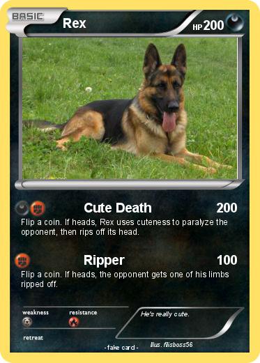Pokemon Rex