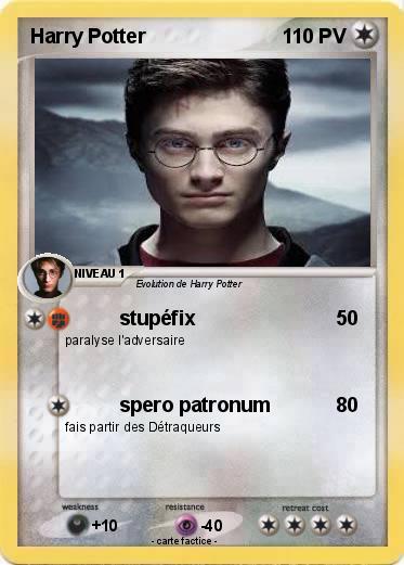 Pokemon Harry Potter