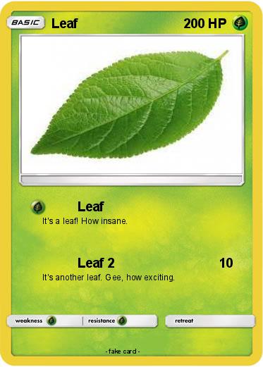 Pokemon Leaf