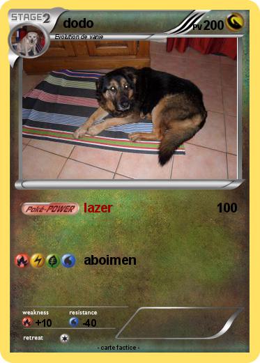 Pokemon dodo