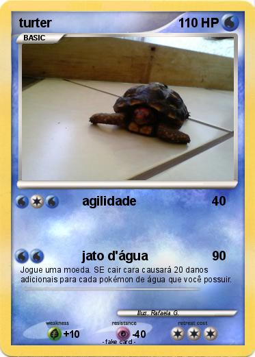 Pokemon turter