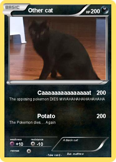 Pokemon Other cat