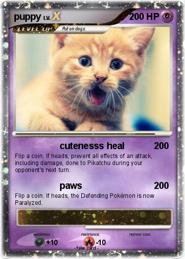 Pokemon puppy
