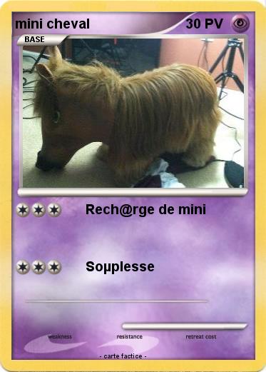 Pokemon mini cheval