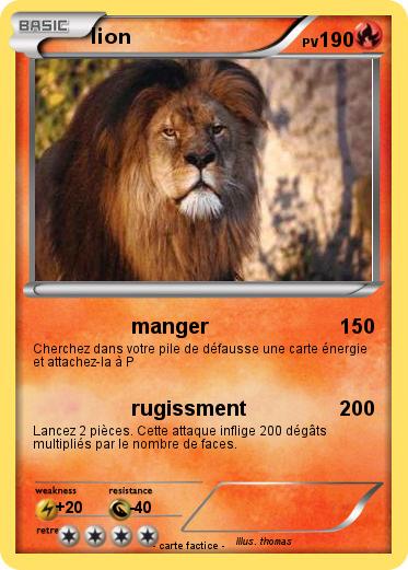 Pokemon lion