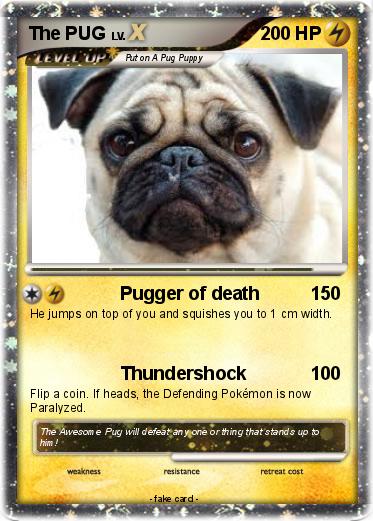 Pokemon The PUG