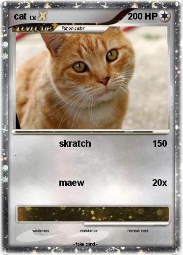 Pokemon cat