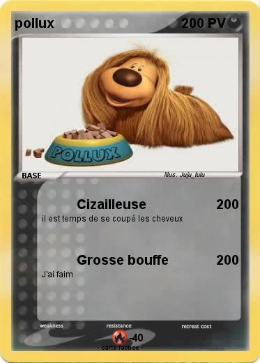 Pokemon pollux