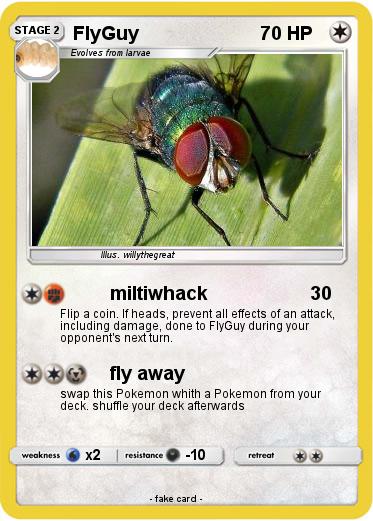 Pokemon FlyGuy