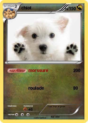 Pokemon chiot