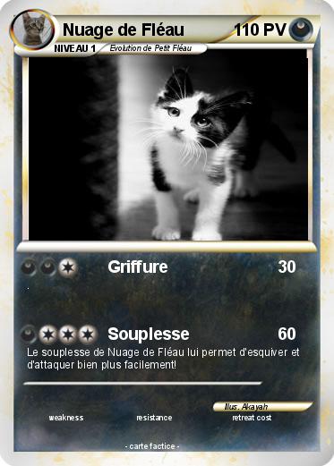 Pokemon Nuage de Fléau