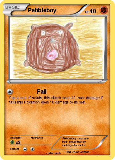 Pokemon Pebbleboy