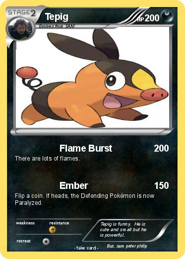 Pokemon Tepig