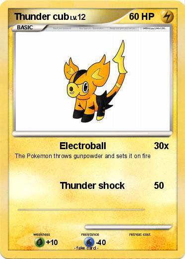 Pokemon Thunder cub