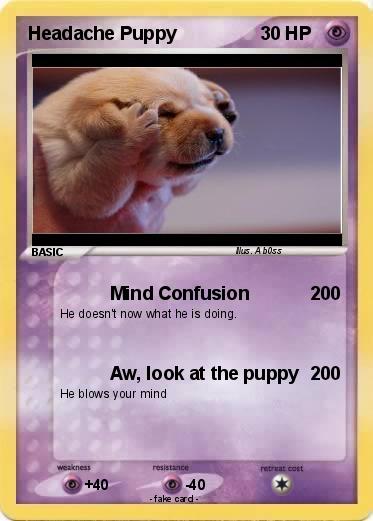 Pokemon Headache Puppy