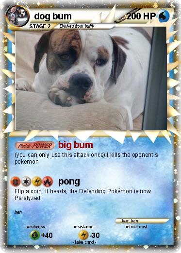 Pokemon dog bum
