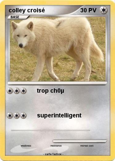 Pokemon colley croisé