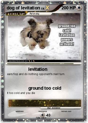 Pokemon dog of levitation
