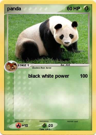 Pokemon panda