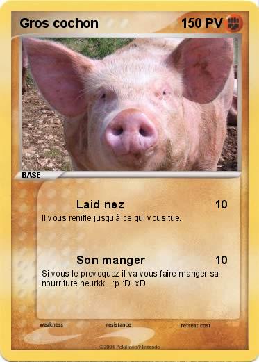 Pokemon Gros cochon