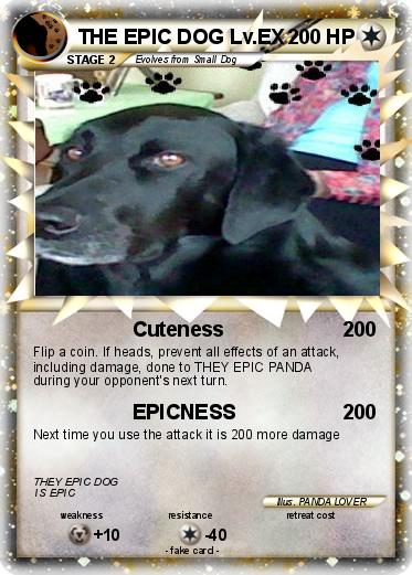 Pokemon THE EPIC DOG Lv.EX