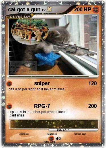 Pokemon cat got a gun