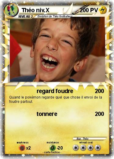 Pokemon Théo niv.X