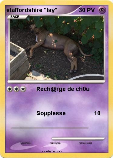 Pokemon staffordshire "lay"