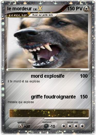 Pokemon le mordeur