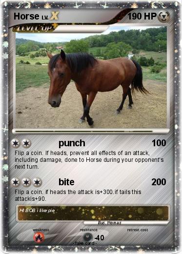 Pokemon Horse